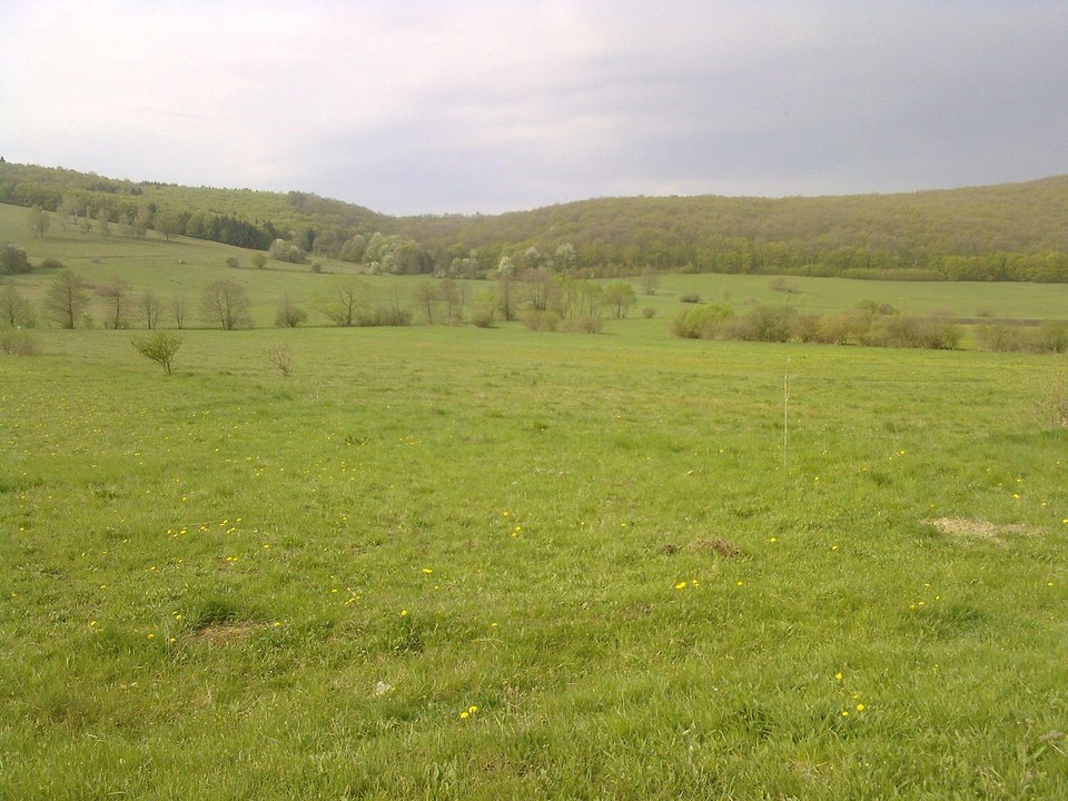 Csókás-Veczer dombság - természetvédelmi terület